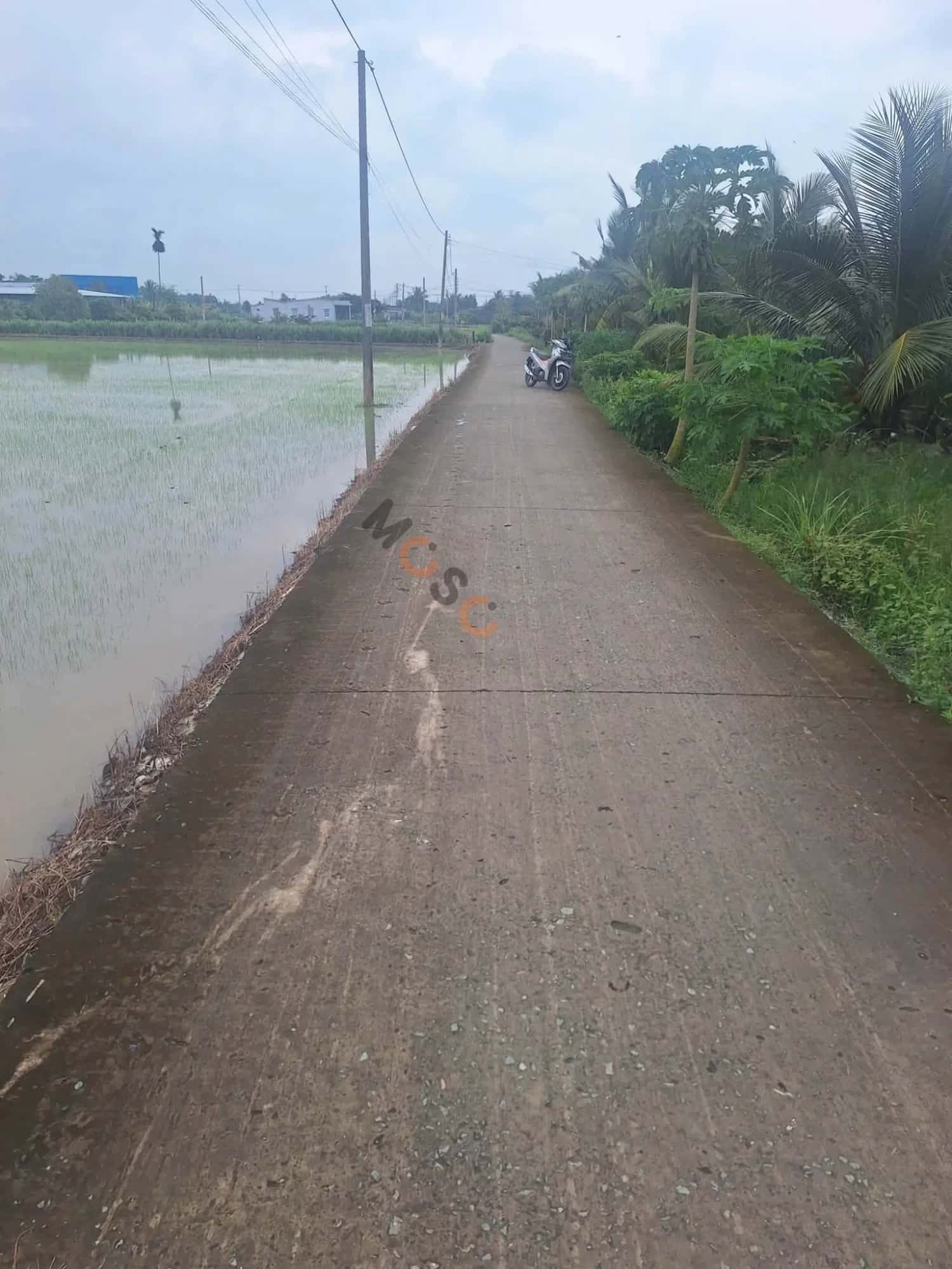 Bán đất ấp Bình Hòa Huyện Tân Trụ, Long An – giá 820 triệu — Hình 2 Bán đất ấp Bình Hòa Huyện Tân Trụ, Long An – giá 820 triệu — Hình 2
