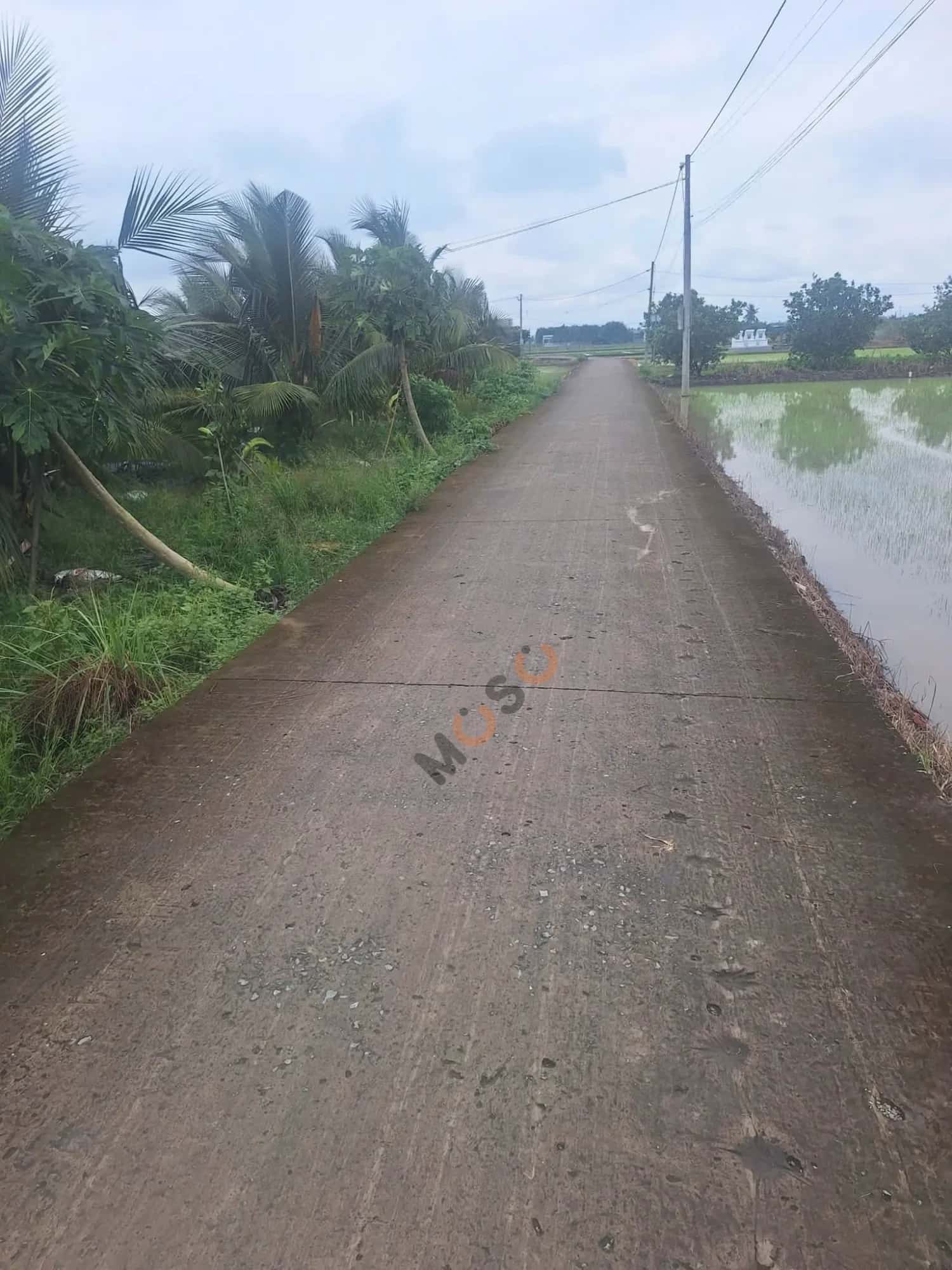 Bán đất ấp Bình Hòa Huyện Tân Trụ, Long An – giá 820 triệu — Hình 3 Bán đất ấp Bình Hòa Huyện Tân Trụ, Long An – giá 820 triệu — Hình 3