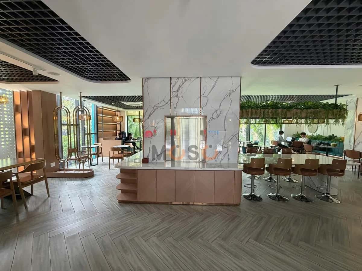 Cho thuê BĐS khác Tống Hữu Định Quận 2, TP.HCM – giá 230 triệu — Hình 3