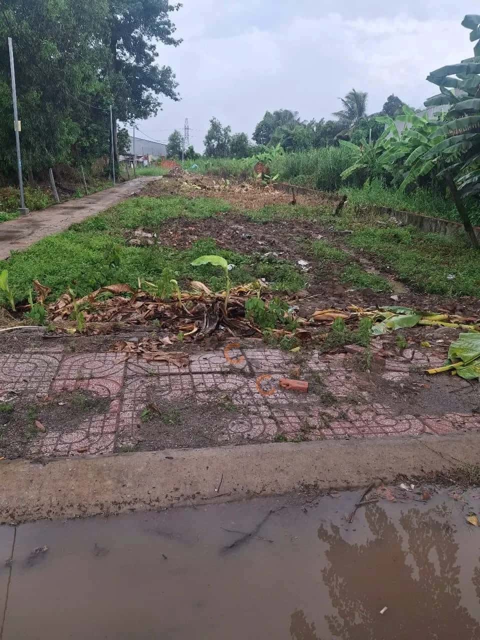 Bán đất Trần Hữu Độ Thành phố Rạch Giá, Kiên Giang – giá 3.3 tỷ — Hình 2 Bán đất Trần Hữu Độ Thành phố Rạch Giá, Kiên Giang – giá 3.3 tỷ — Hình 2