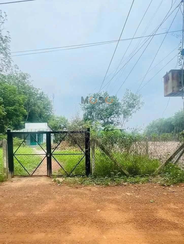 Bán đất Minh Thạnh 62 Huyện Dầu Tiếng, Bình Dương – giá 400 triệu Bán đất Minh Thạnh 62 Huyện Dầu Tiếng, Bình Dương – giá 400 triệu