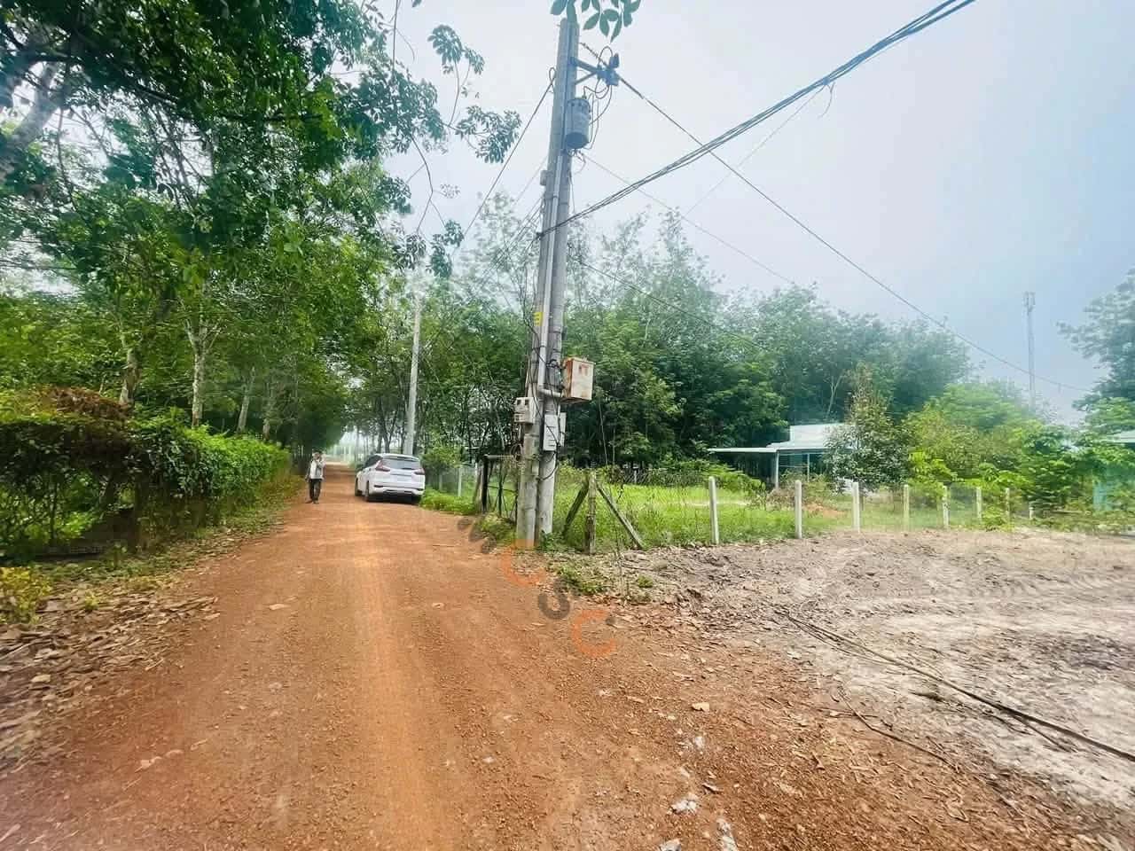Bán đất Minh Thạnh 62 Huyện Dầu Tiếng, Bình Dương – giá 400 triệu — Hình 2 Bán đất Minh Thạnh 62 Huyện Dầu Tiếng, Bình Dương – giá 400 triệu — Hình 2