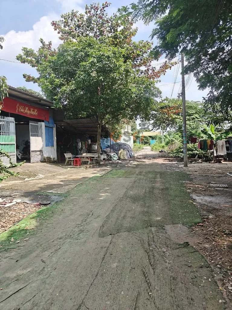 Cho thuê đất Dương Công Khi Huyện Hóc Môn, TP.HCM – giá 2 triệu — Hình 2