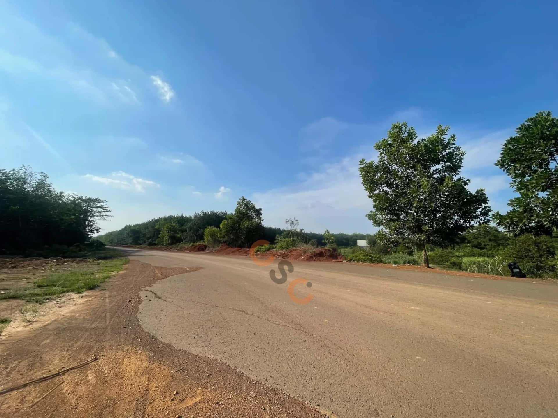 Bán đất hẻm đường ĐT753, Ấp Phước Tâm Huyện Đồng Phú, Bình Phước – giá 600 triệu — Hình 3 Bán đất hẻm đường ĐT753, Ấp Phước Tâm Huyện Đồng Phú, Bình Phước – giá 600 triệu — Hình 3