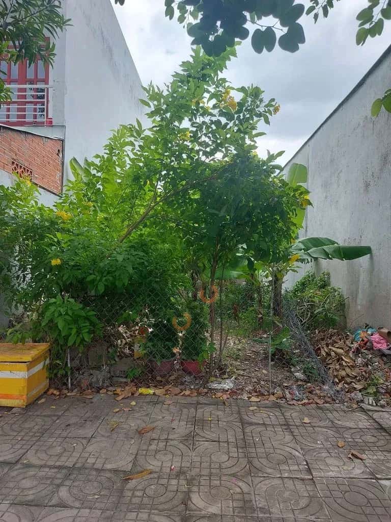 Bán đất Đường Song Hành Huyện Đức Hòa, TP.HCM – giá 2.6 tỷ — Hình 3