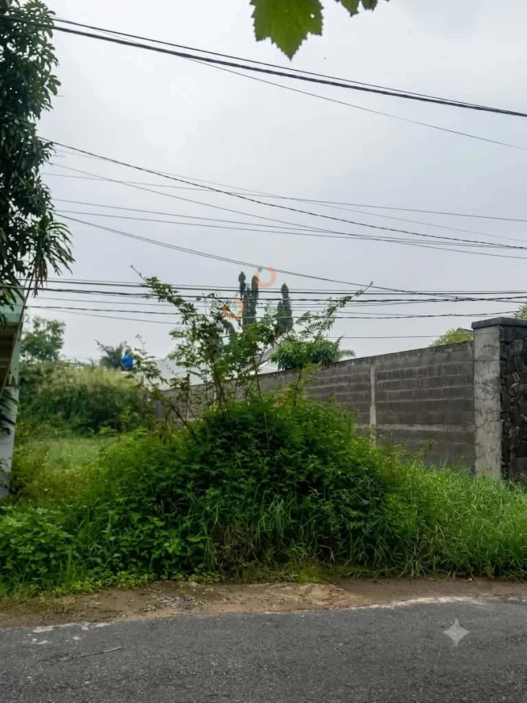 Bán đất Nguyễn Kim Công Thành phố Tân An, Long An – giá 2.8 tỷ - ảnh 2