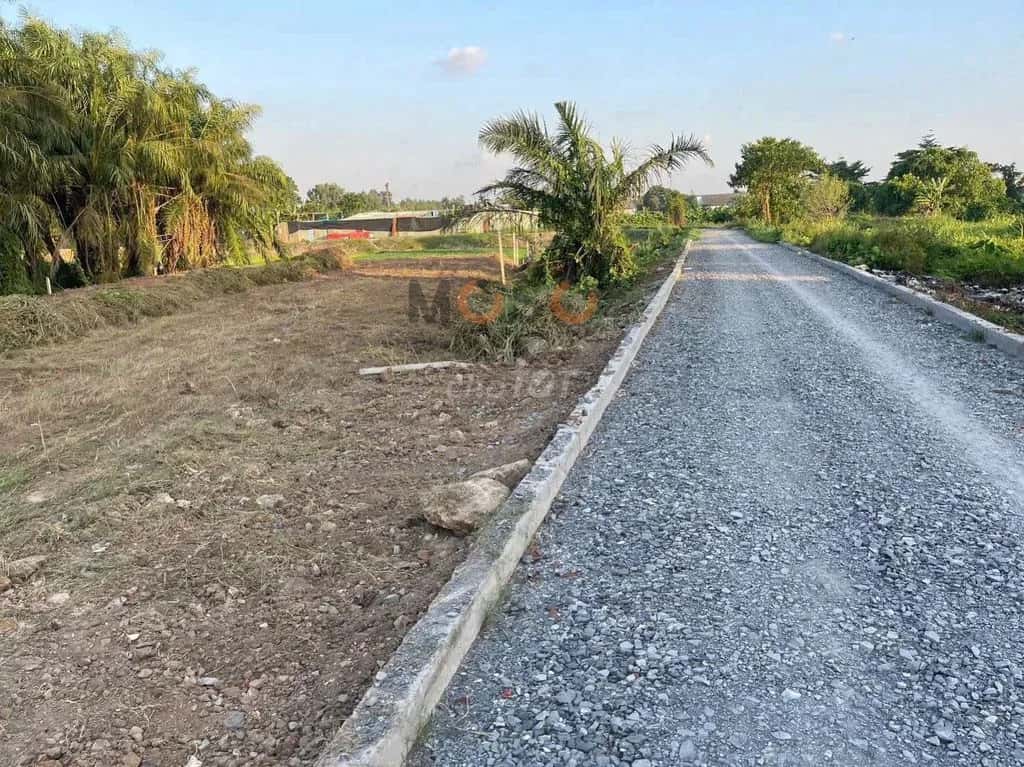 Bán đất Nhị Bình 5 Huyện Hóc Môn, TP.HCM – giá 5.5 tỷ Bán đất Nhị Bình 5 Huyện Hóc Môn, TP.HCM – giá 5.5 tỷ