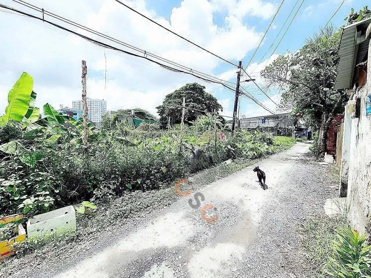 Bán đất Vườn Lài Quận 12, TP.HCM – giá 4.8 tỷ — Hình 3 Bán đất Vườn Lài Quận 12, TP.HCM – giá 4.8 tỷ — Hình 3