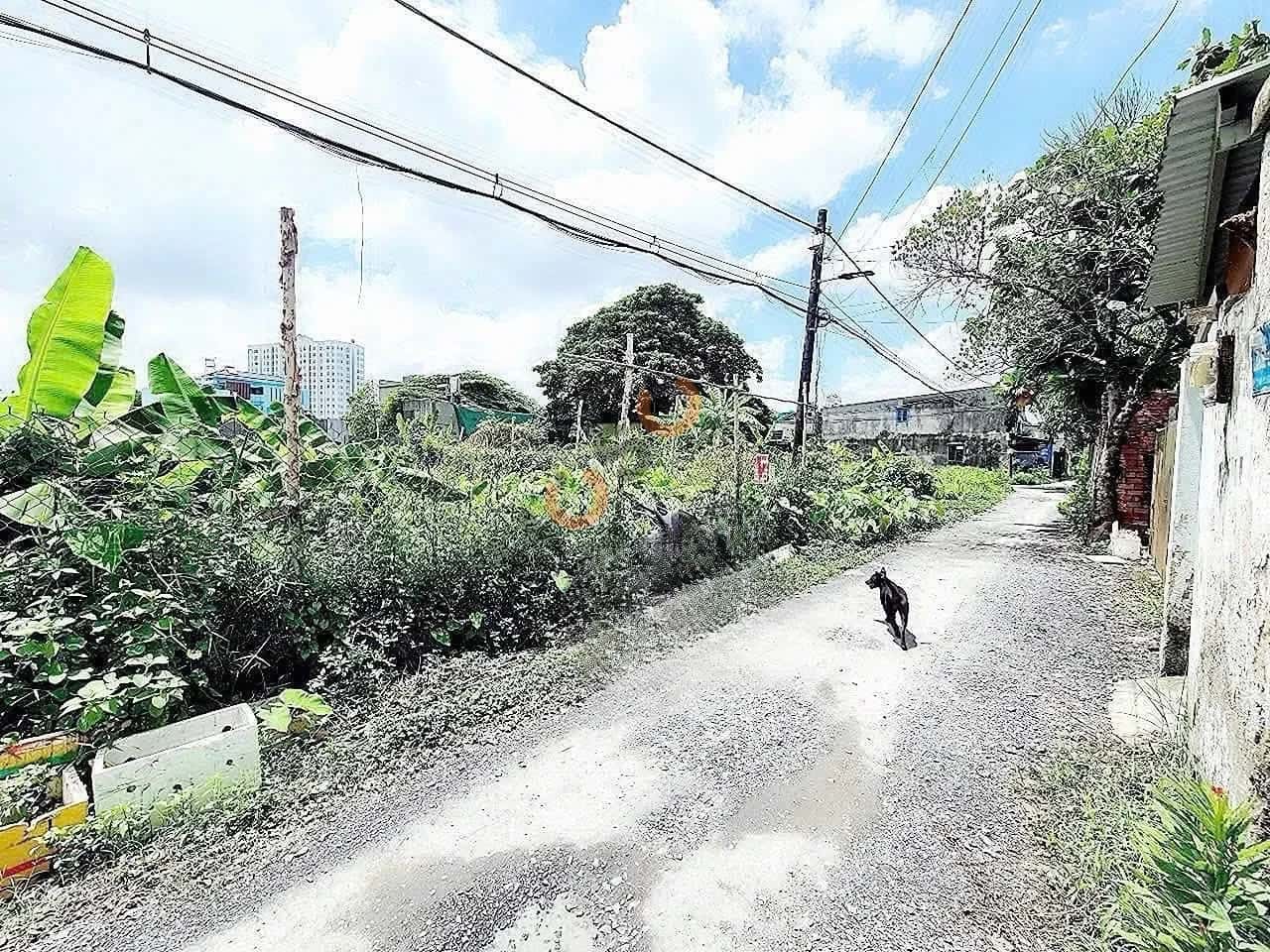 Bán đất Vườn Lài Quận 12, TP.HCM – giá 4.8 tỷ — Hình 3 Bán đất Vườn Lài Quận 12, TP.HCM – giá 4.8 tỷ — Hình 3