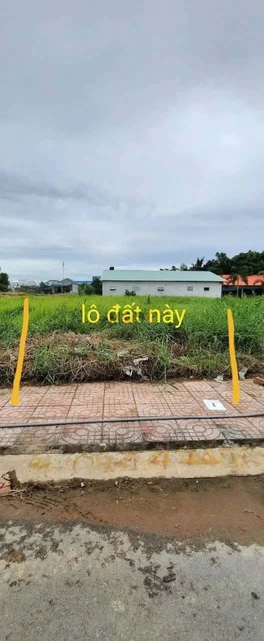 Bán đất đường số 3, Khu dân cư Nam Phong Dragon Huyện Cần Đước, Long An – giá 1.3 tỷ Bán đất đường số 3, Khu dân cư Nam Phong Dragon Huyện Cần Đước, Long An – giá 1.3 tỷ