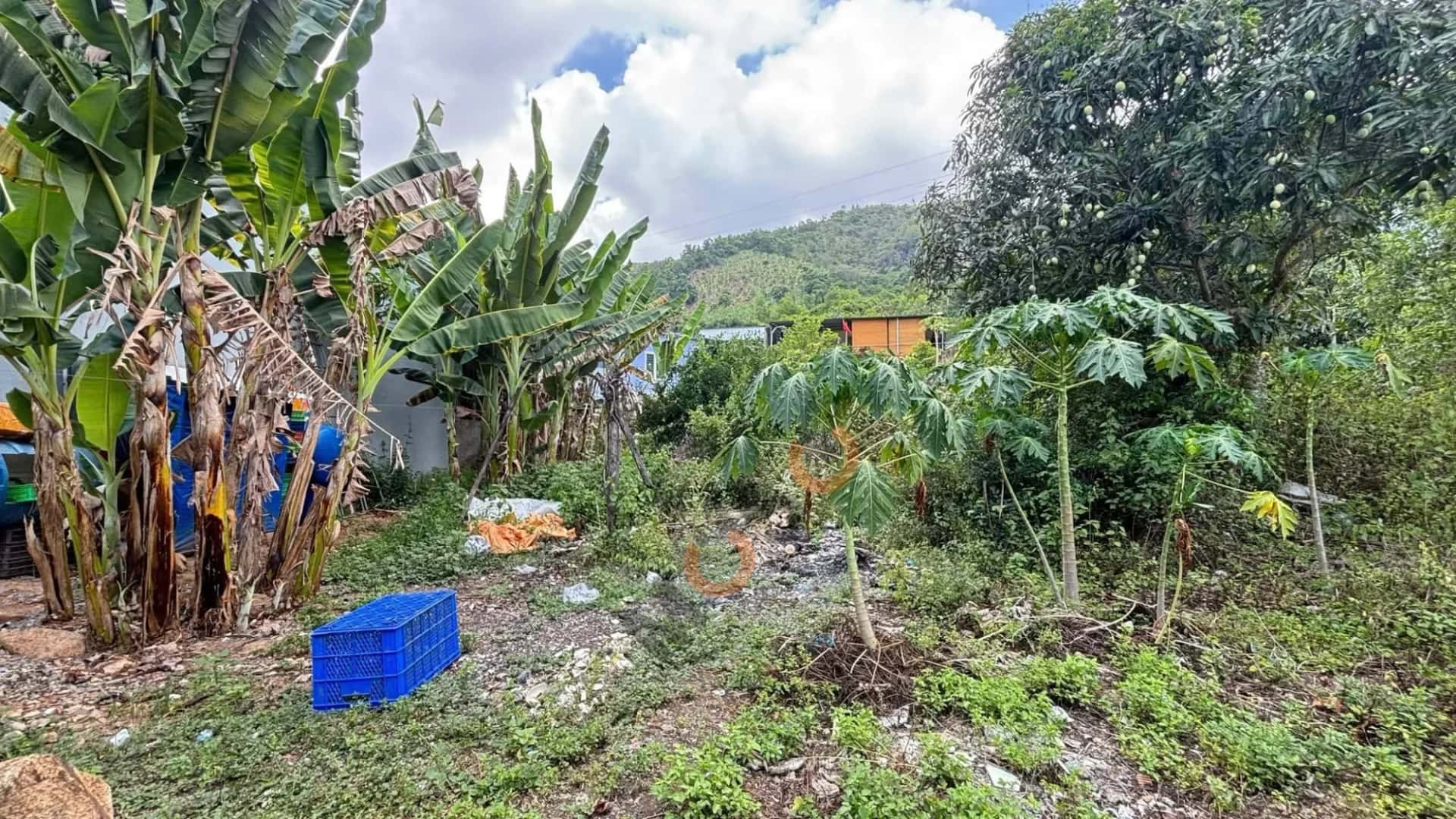 Bán đất thôn Đắc Lộc Thành phố Nha Trang, Khánh Hòa – giá 590 triệu Bán đất thôn Đắc Lộc Thành phố Nha Trang, Khánh Hòa – giá 590 triệu