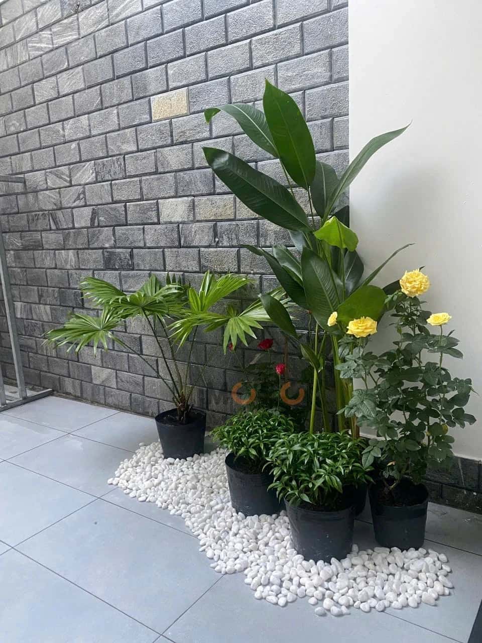 Bán nhà hẻm Võ trứ Thành phố Nha Trang, Khánh Hòa – 4 phòng ngủ, giá 9.8 tỷ — Hình 3 Bán nhà hẻm Võ trứ Thành phố Nha Trang, Khánh Hòa – 4 phòng ngủ, giá 9.8 tỷ — Hình 3