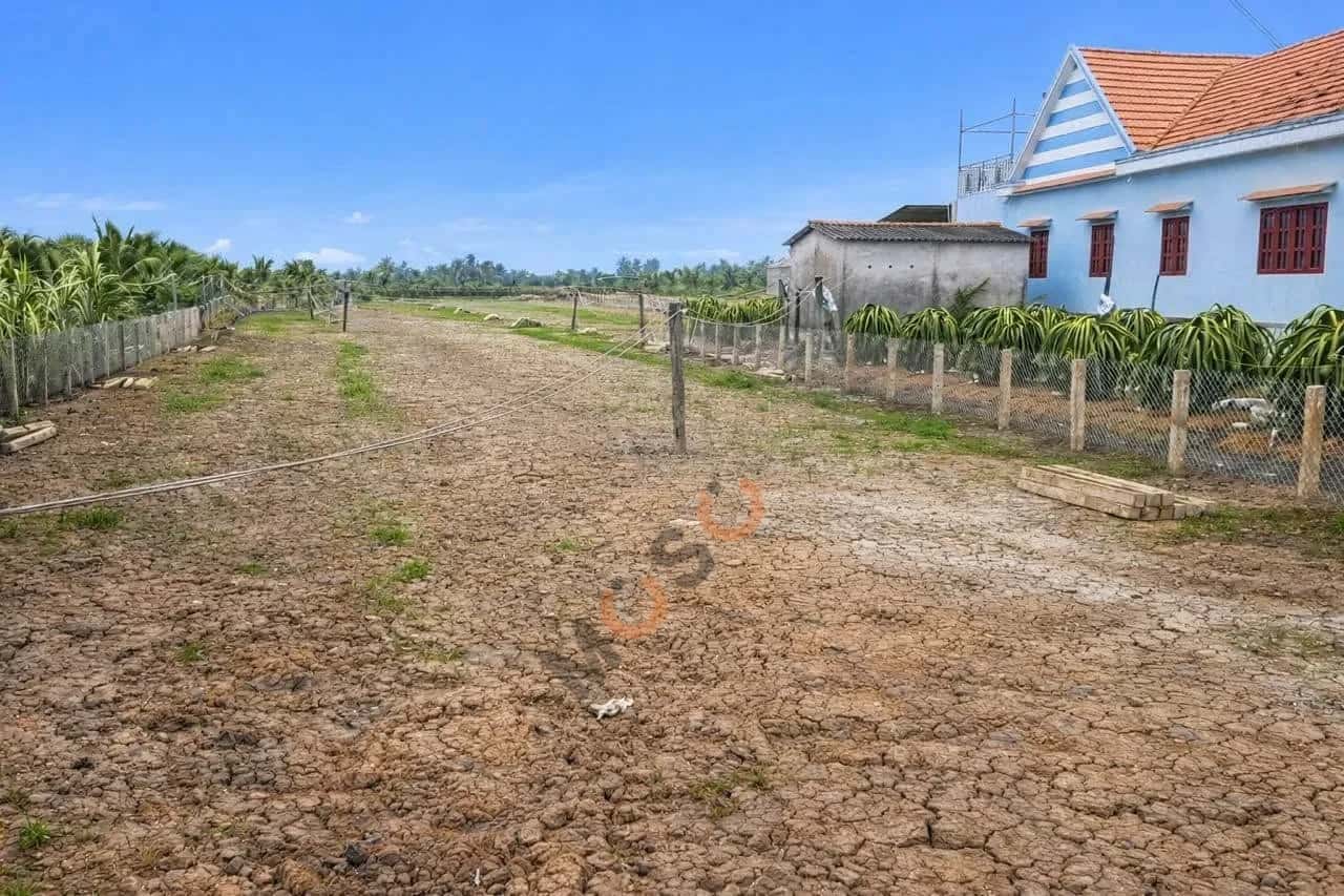 Bán đất đường ĐH 28B Huyện Chợ Gạo, Tiền Giang – giá 8.8 tỷ