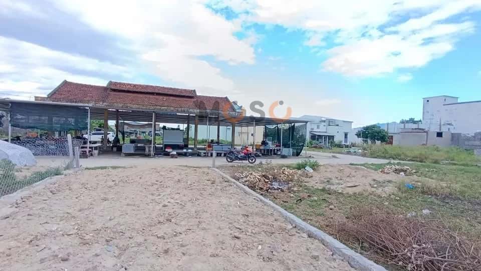 Bán đất đường HL39 Huyện Diên Khánh, Khánh Hòa – giá 599 triệu — Hình 2