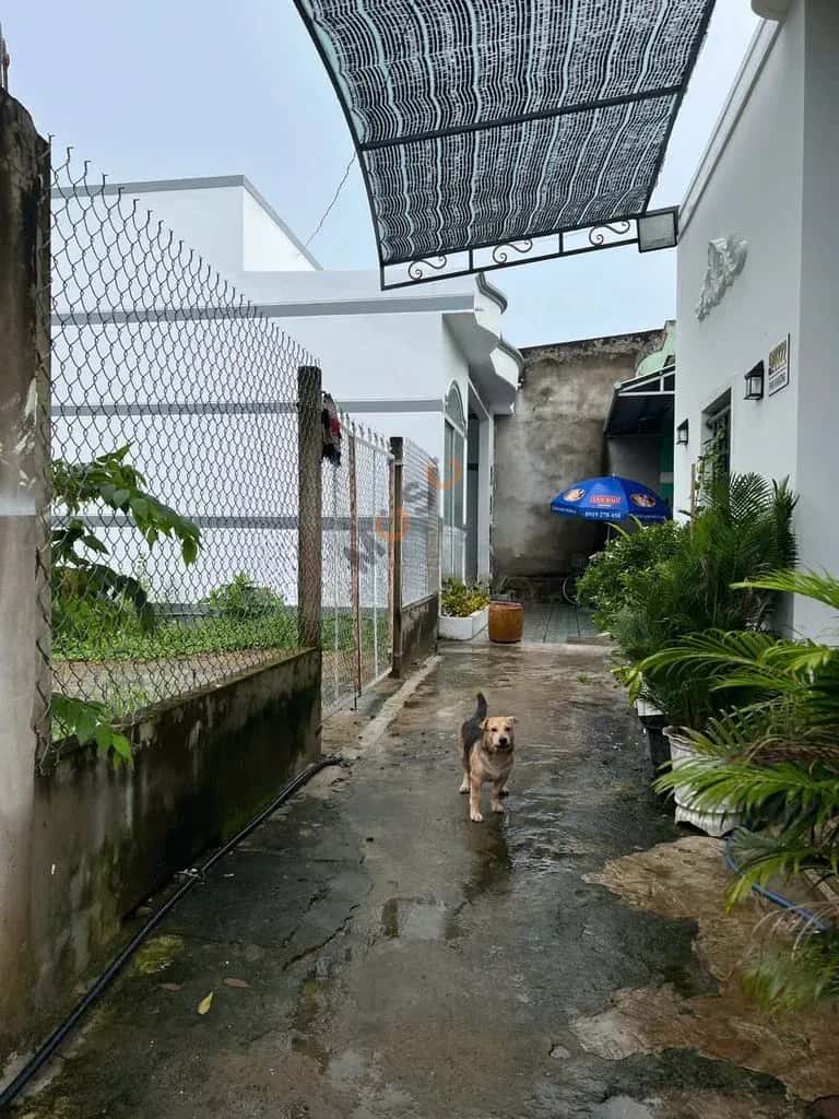 Bán đất Khu Phố 6 Bến Tre, Vĩnh Long – giá 550 triệu - ảnh 1
