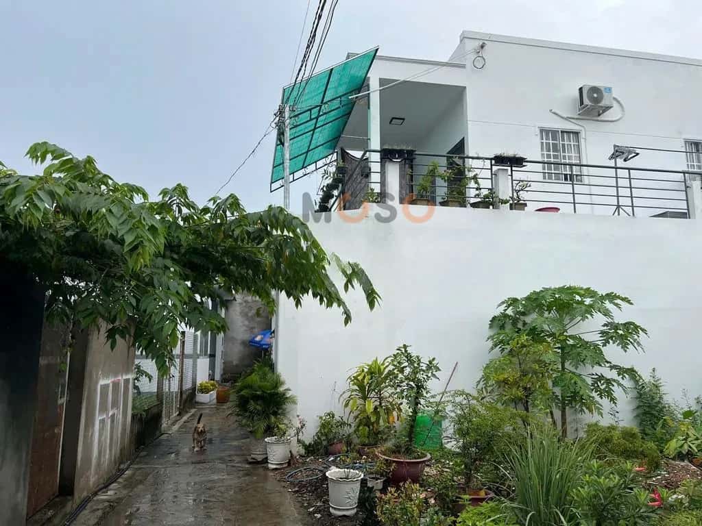 Bán đất Khu Phố 6 Bến Tre, Vĩnh Long – giá 550 triệu - ảnh 2