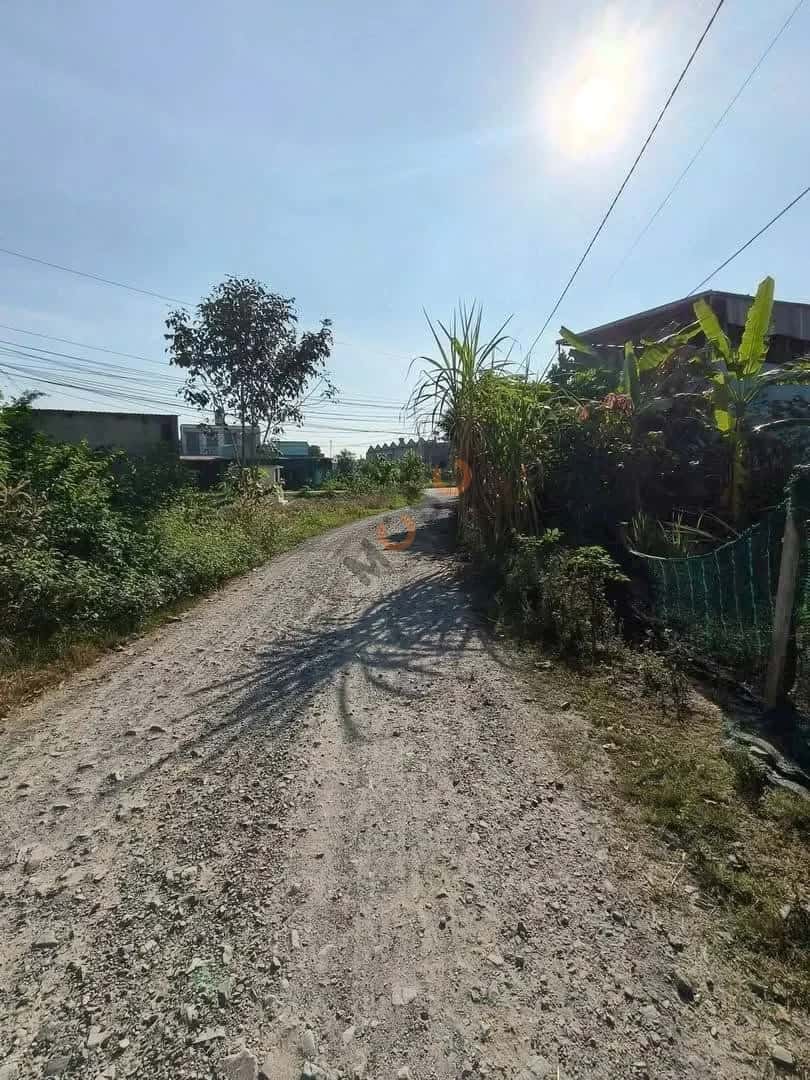 Bán đất Ấp Tràm Lạc Huyện Đức Hòa, Long An – giá 1.3 tỷ — Hình 3