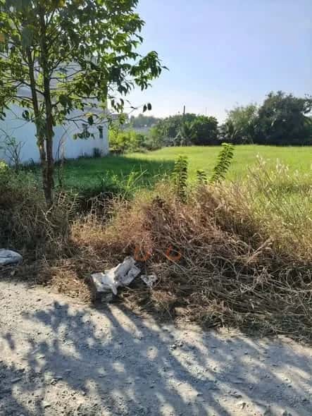 Bán đất Ấp Tràm Lạc Huyện Đức Hòa, Long An – giá 1.3 tỷ