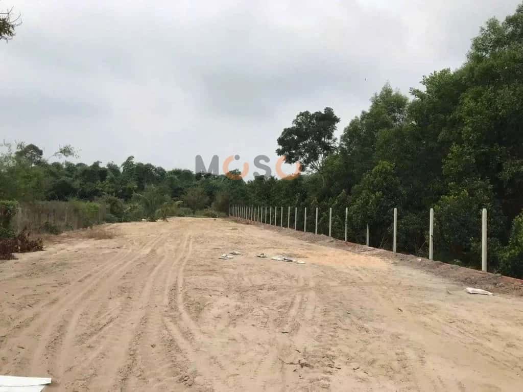 Bán đất đường Suối Đá - Phước Ninh  Huyện Dương Minh Châu, Tây Ninh – giá 2.2 tỷ