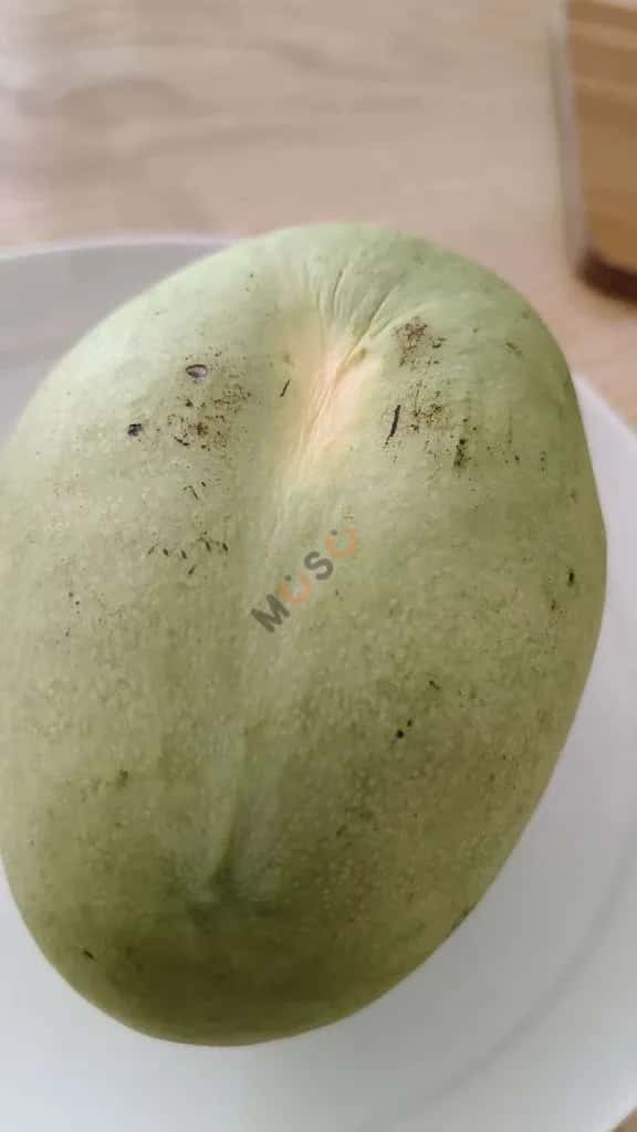 Cho thuê nhà hẻm Hòa Cường, Đà Nẵng – 2 phòng ngủ, giá 12 triệu — Hình 3 Cho thuê nhà hẻm Hòa Cường, Đà Nẵng – 2 phòng ngủ, giá 12 triệu — Hình 3