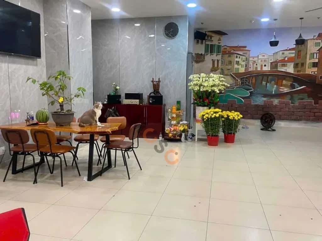 Cho thuê văn phòng Lương Minh Nguyệt Quận Tân Phú, TP.HCM – giá 22 triệu — Hình 2 Cho thuê văn phòng Lương Minh Nguyệt Quận Tân Phú, TP.HCM – giá 22 triệu — Hình 2
