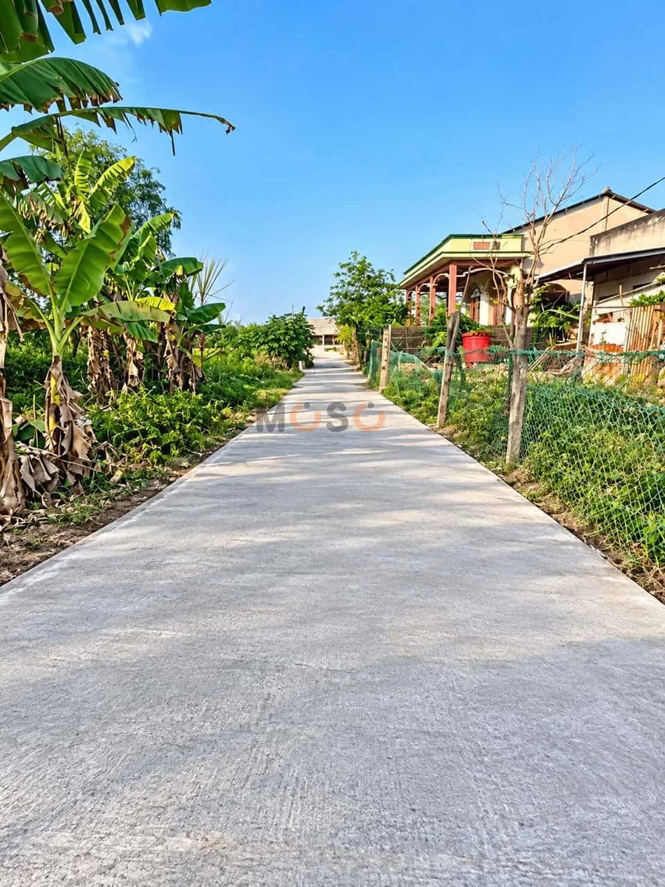 Bán đất Ấp Lộc Trung Huyện Cần Giuộc, Long An – giá 850 triệu - ảnh 3