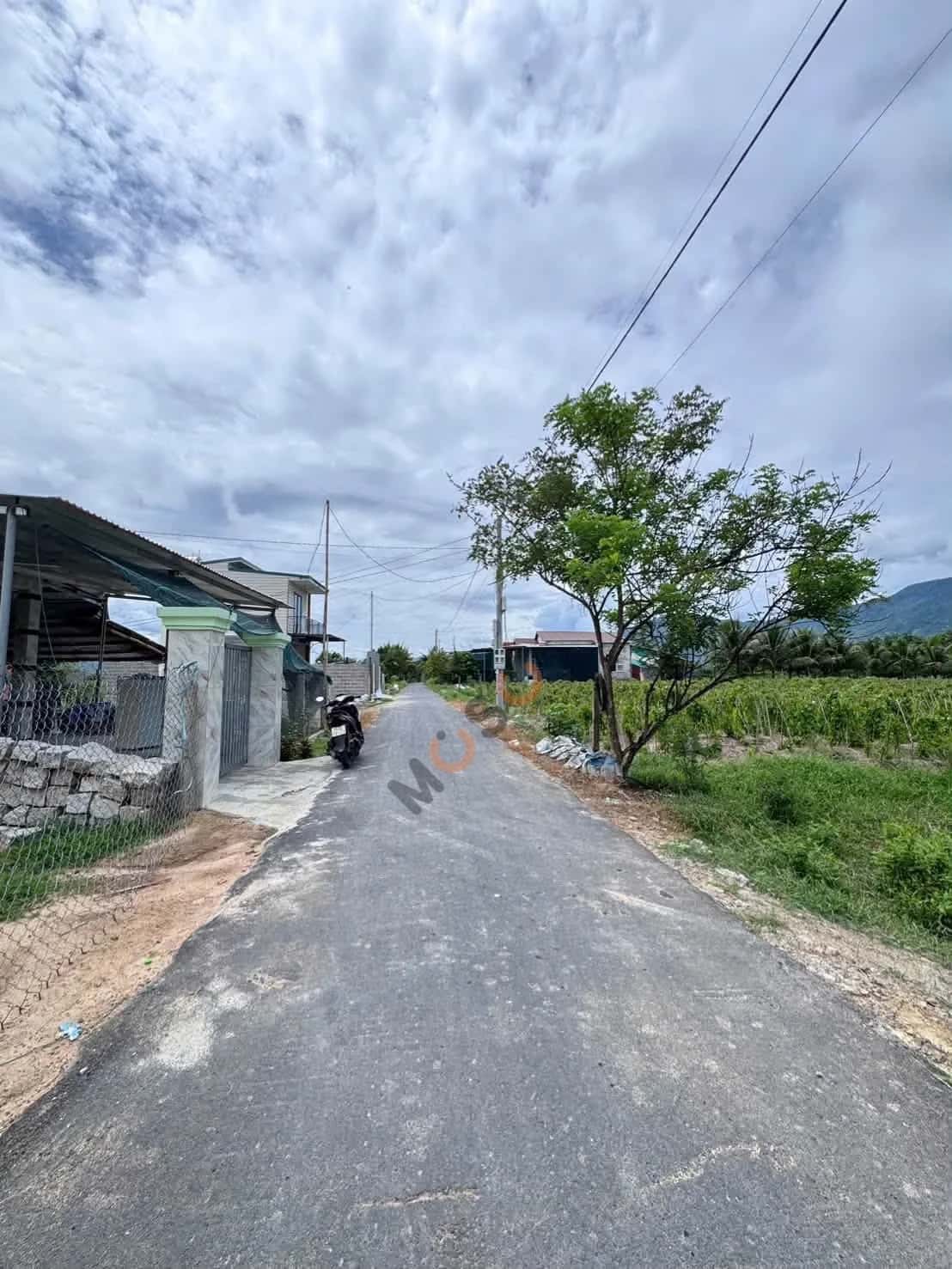 Bán đất thôn Tân Thành Huyện Diên Khánh, Khánh Hòa – giá 1.6 tỷ - ảnh 3