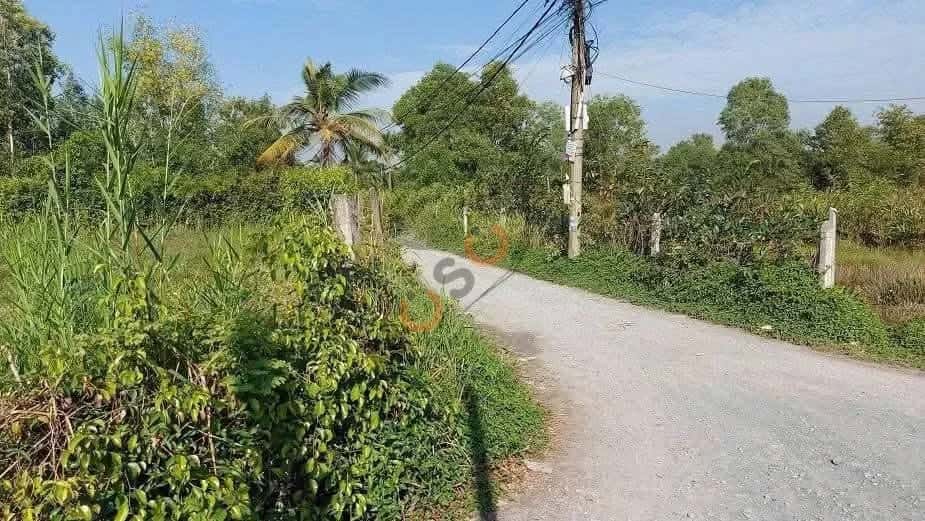 Bán đất đường Long Thuận  Thành phố Thủ Đức, TP.HCM – giá 17.6 tỷ - ảnh 3