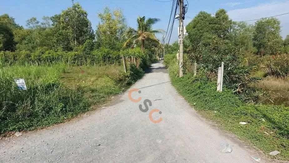 Bán đất đường Long Thuận  Thành phố Thủ Đức, TP.HCM – giá 17.6 tỷ - ảnh 2