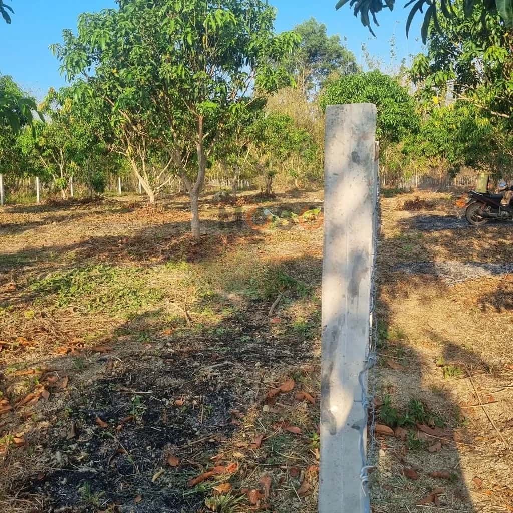 Bán đất Quốc Lộ 20 Huyện Định Quán, Đồng Nai – giá 1.4 tỷ - ảnh 2