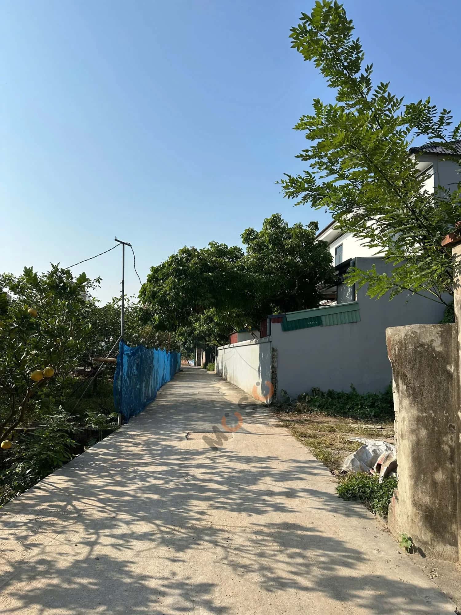 Bán đất Thôn Ngọc Bộ Huyện Văn Giang, Hưng Yên – giá 3.9 tỷ - ảnh 4