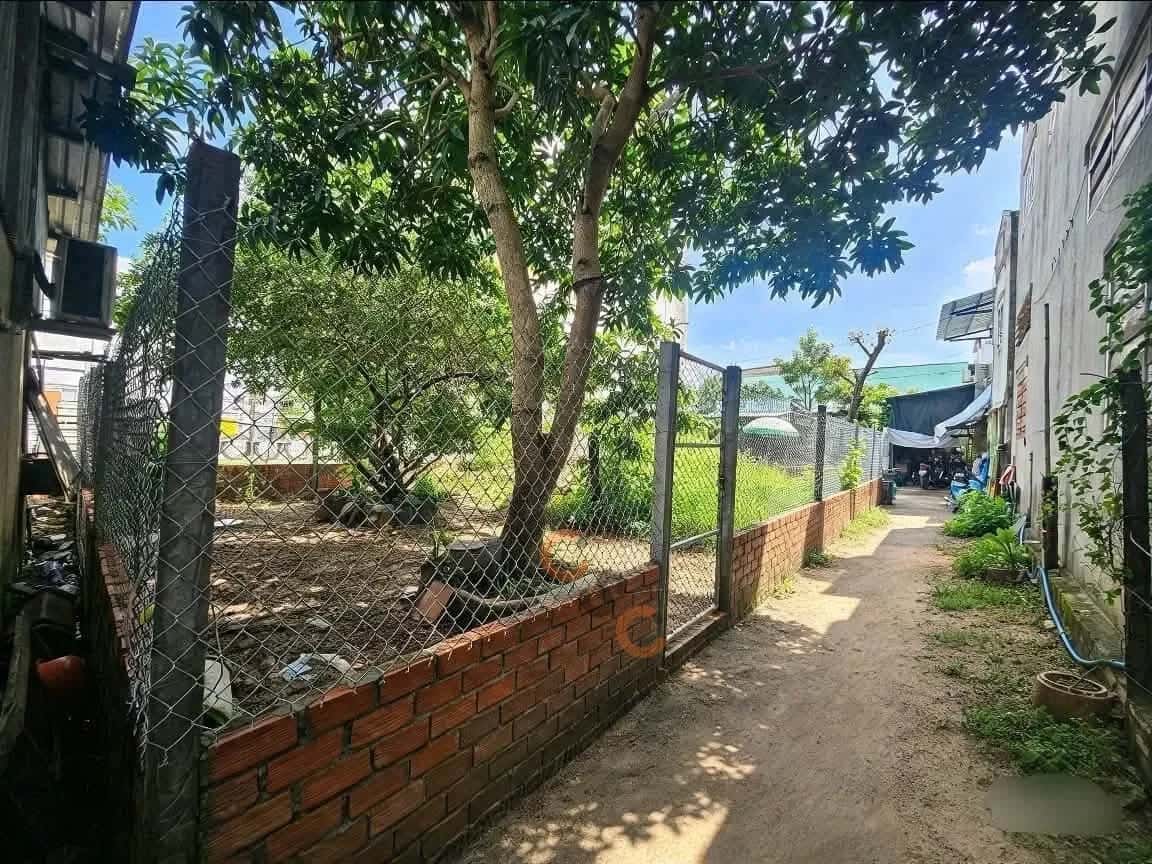 Bán đất Hẻm 108/75, Đường 30/4 Quận Ninh Kiều, TP. Cần Thơ – giá 1.2 tỷ - ảnh 2