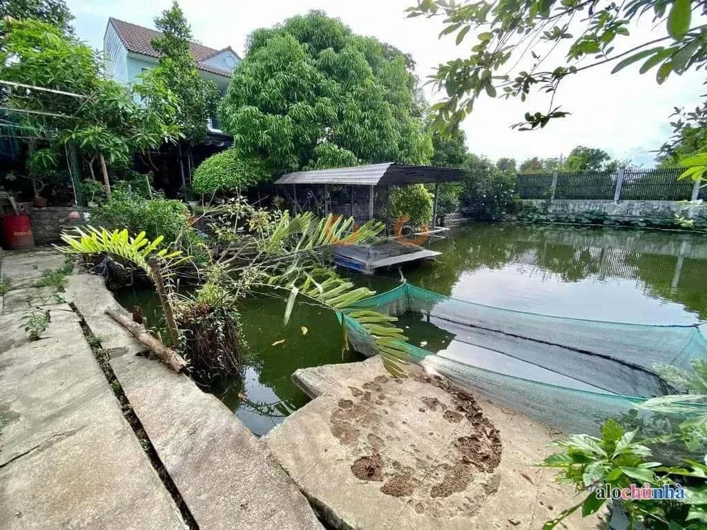 Bán nhà hẻm Bảy Tấn Huyện Bình Chánh, TP.HCM – 7 phòng ngủ, giá 21 tỷ - ảnh 6