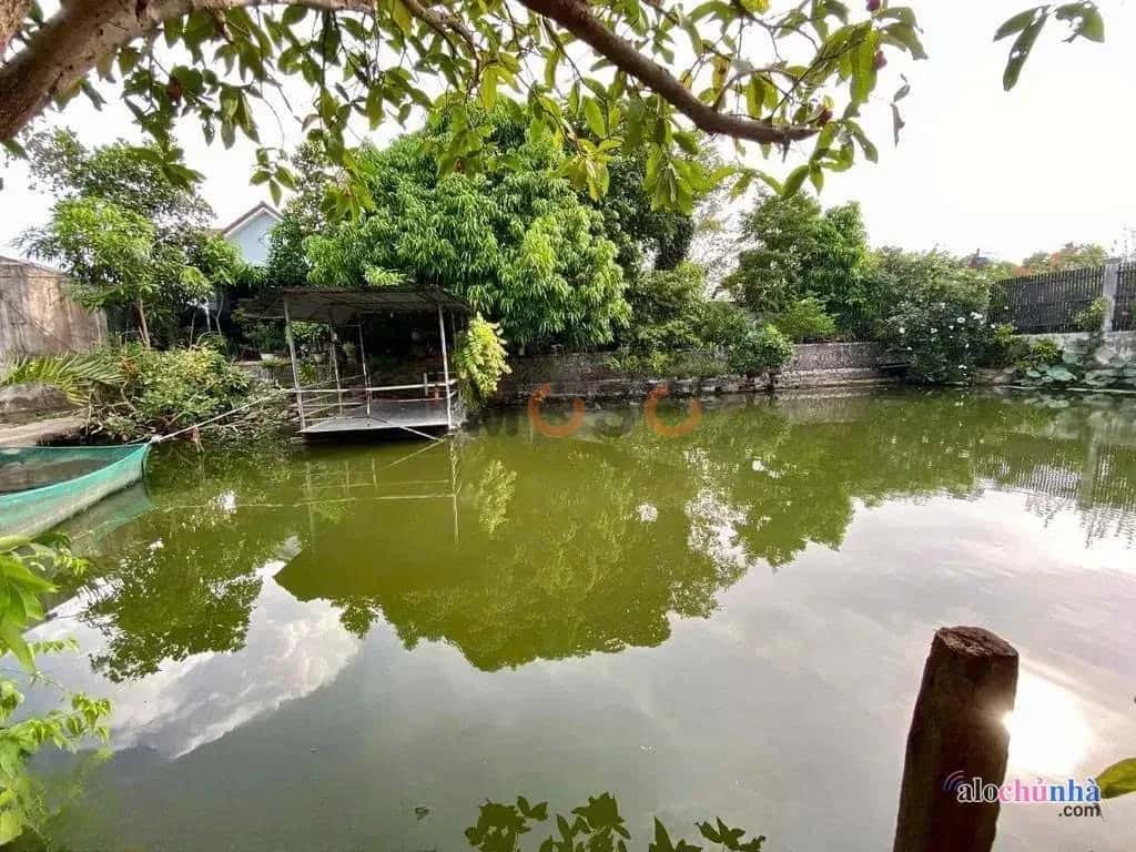 Bán nhà hẻm Bảy Tấn Huyện Bình Chánh, TP.HCM – 7 phòng ngủ, giá 21 tỷ - ảnh 5