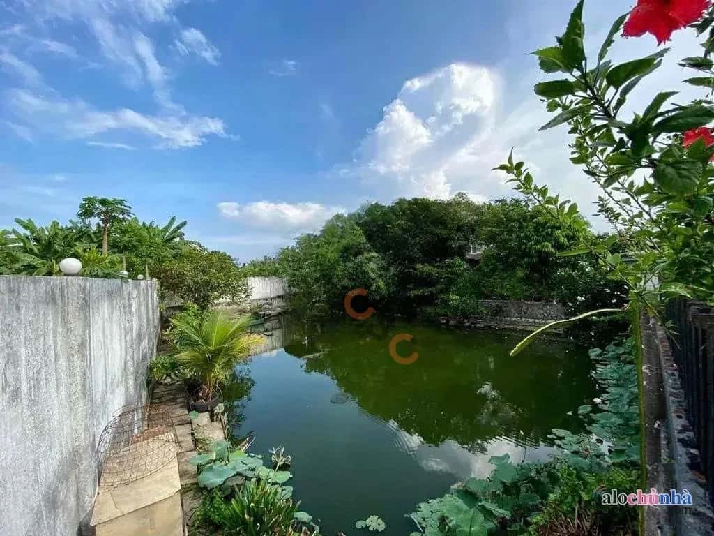 Bán nhà hẻm Bảy Tấn Huyện Bình Chánh, TP.HCM – 7 phòng ngủ, giá 21 tỷ - ảnh 7