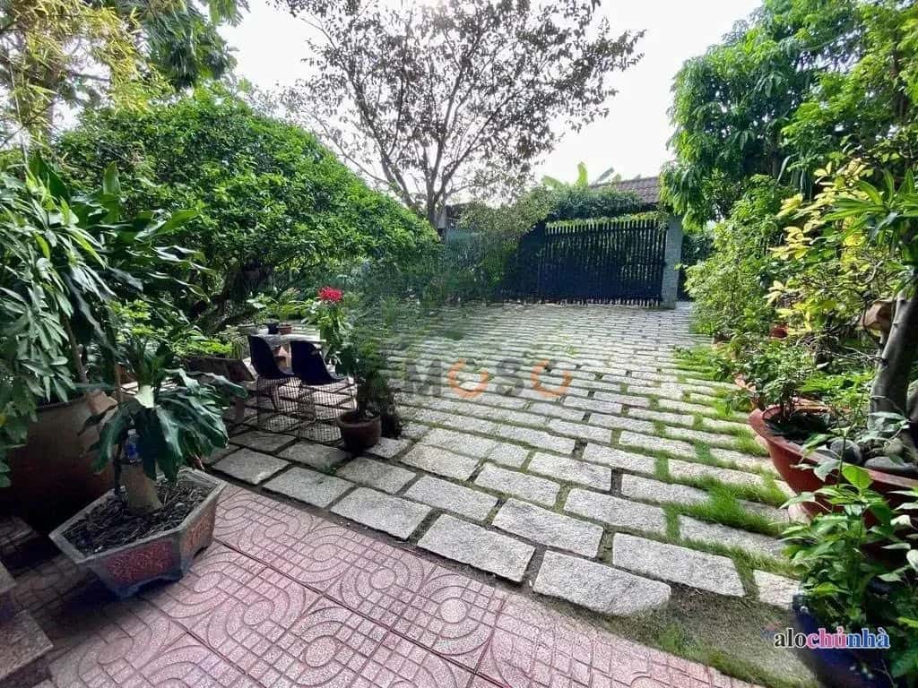 Bán nhà hẻm Bảy Tấn Huyện Bình Chánh, TP.HCM – 7 phòng ngủ, giá 21 tỷ - ảnh 3
