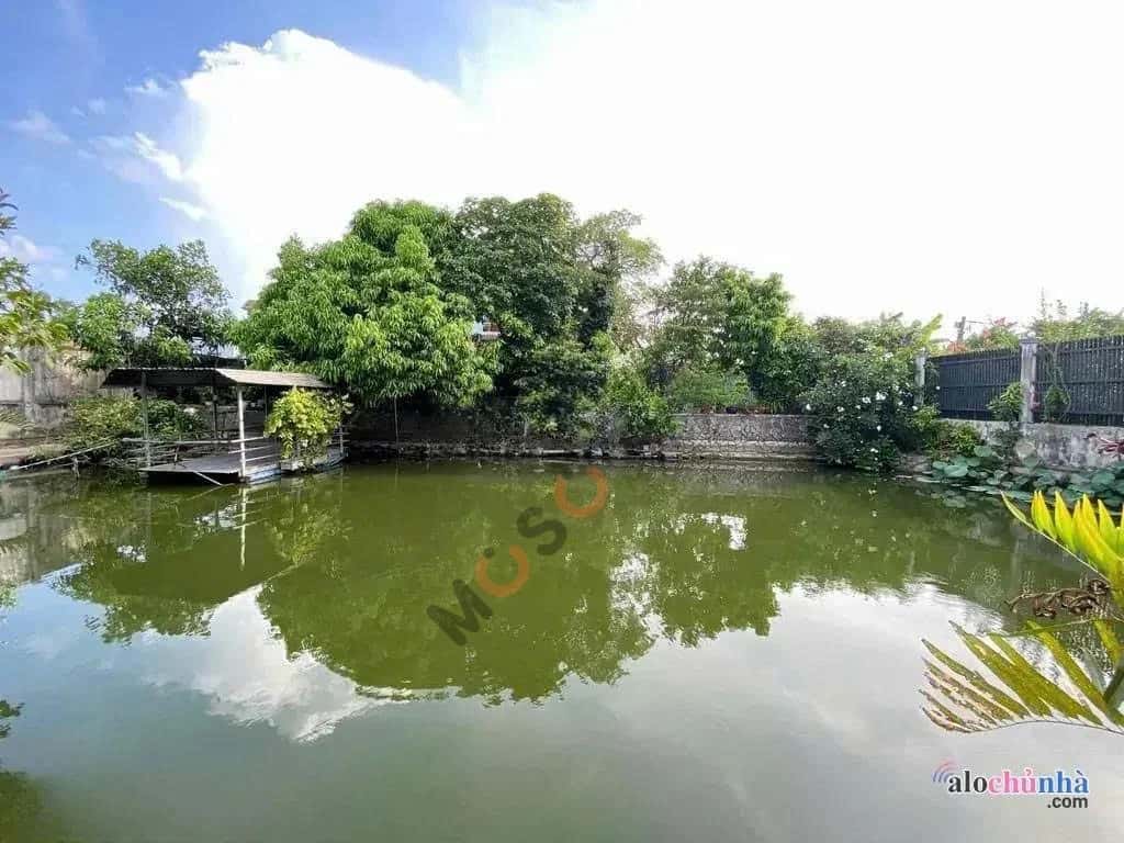 Bán nhà hẻm Bảy Tấn Huyện Bình Chánh, TP.HCM – 7 phòng ngủ, giá 21 tỷ - ảnh 8