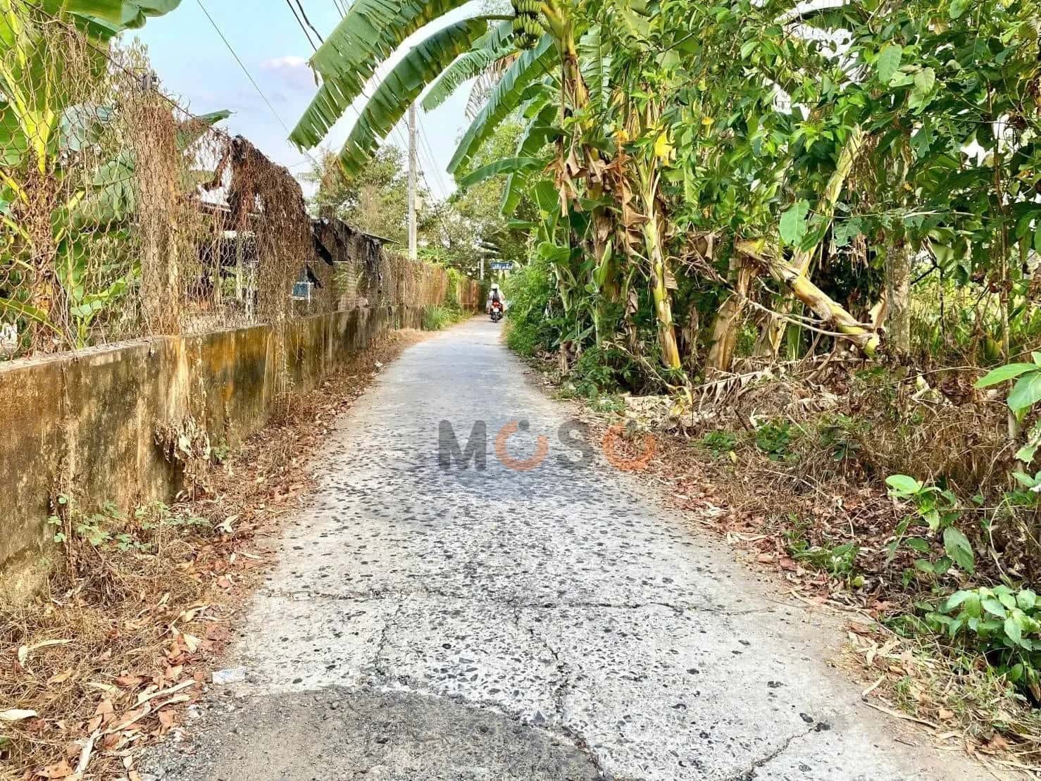 Bán đất hẻm đường Nguyễn Viết Xuân Quận Bình Thuỷ, TP. Cần Thơ – giá 230 triệu - ảnh 3