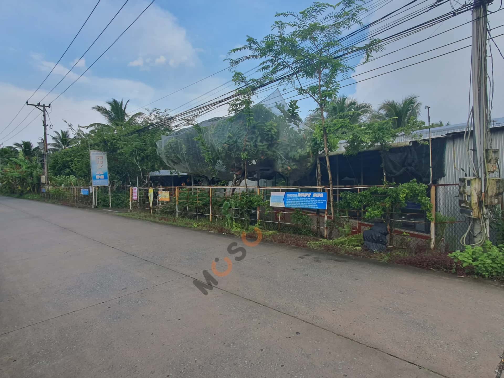 Bán đất Đường Hưng Nhượng Huyện Giồng Trôm, Bến Tre – giá 12 tỷ - ảnh 1