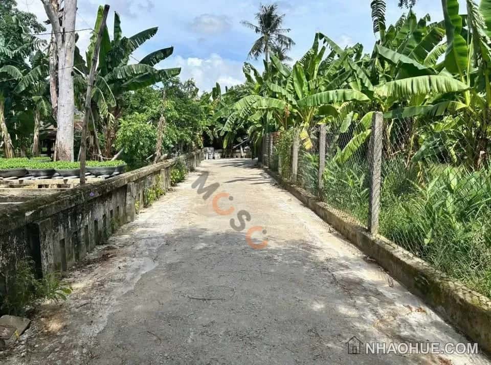 Bán đất Nguyễn Đình Bảy Quận Thuận Hóa, TP. Huế – giá 1.5 tỷ - ảnh 2
