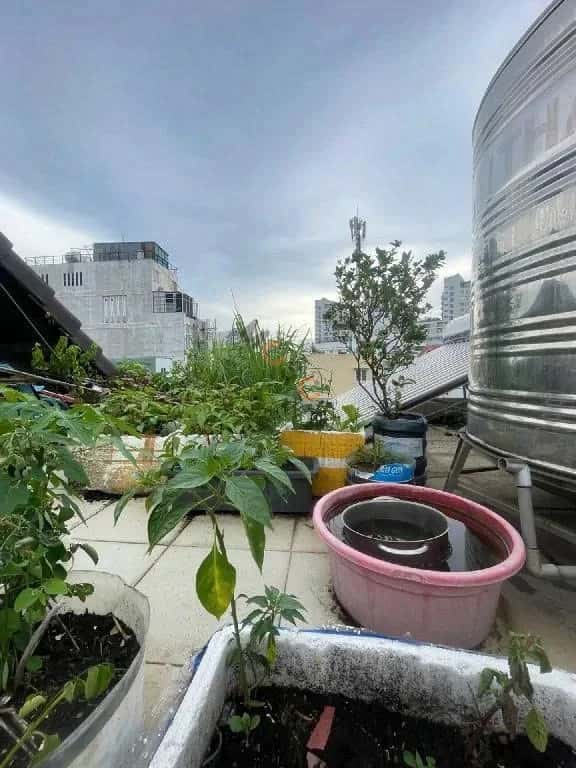 Bán nhà hẻm Cao Thắng Quận 10, TP.HCM – 3 phòng ngủ, giá 11.6 tỷ - ảnh 12