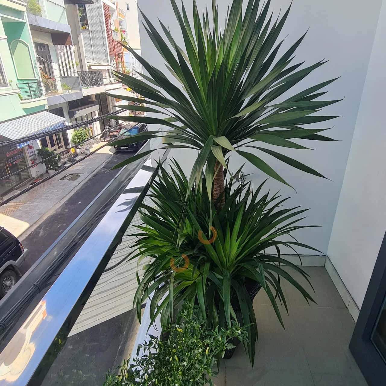 Bán nhà mặt tiền Phan Huy Ôn Quận Hải Châu, TP. Đà Nẵng – 3 phòng ngủ, giá 10.5 tỷ - ảnh 12