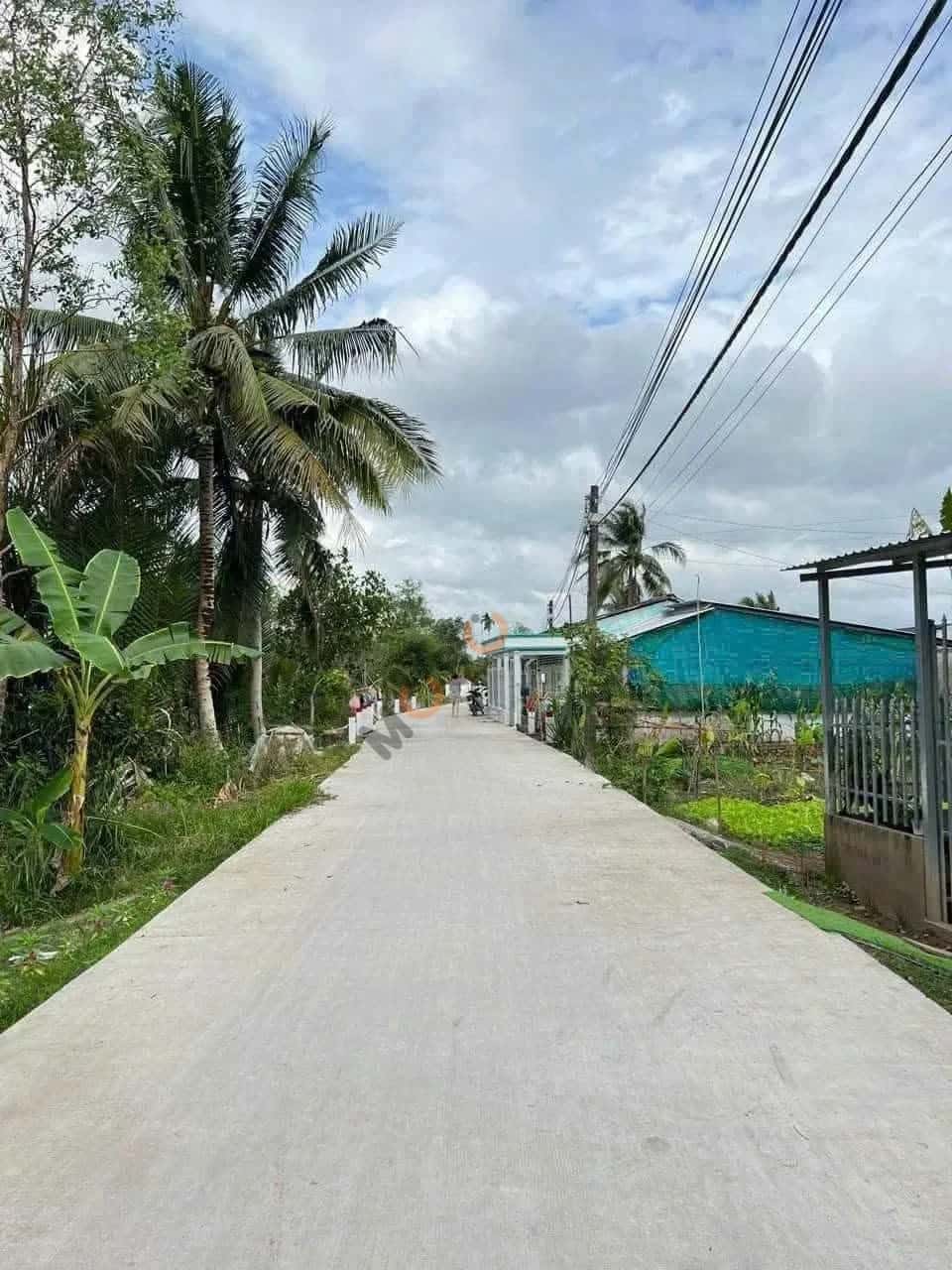 Bán đất Khu vực Thạnh Lợi, Rạch Xẻo Da Quận Cái Răng, TP. Cần Thơ – giá 890 triệu - ảnh 2