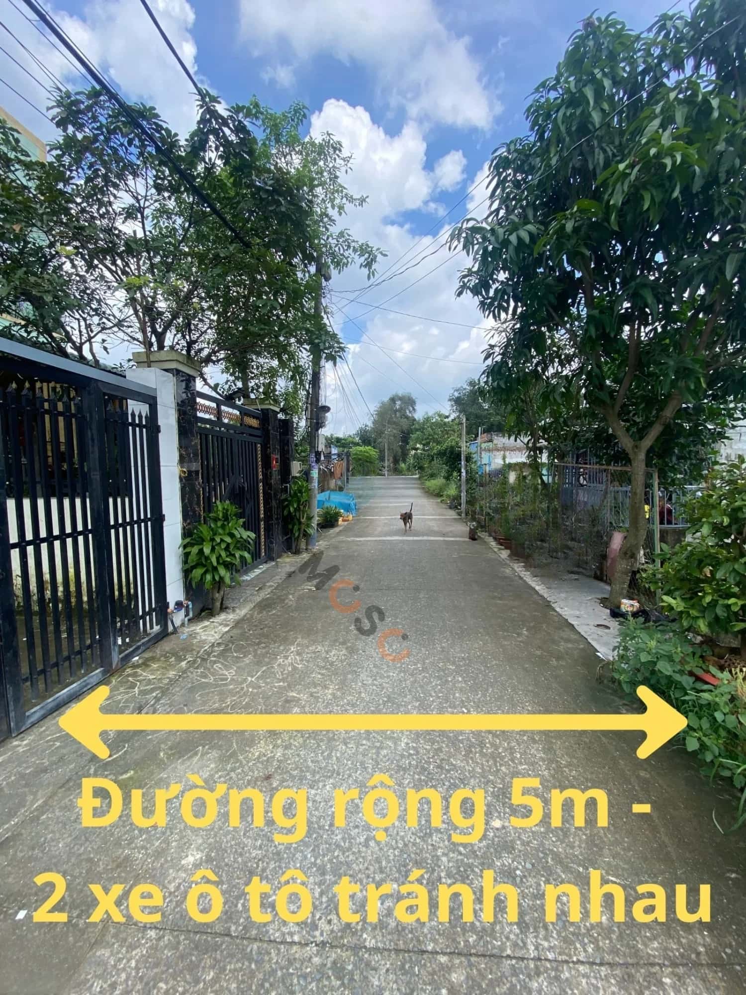 Bán đất đường An Hạ Huyện Bình Chánh, TP.HCM – giá 4.8 tỷ - ảnh 3
