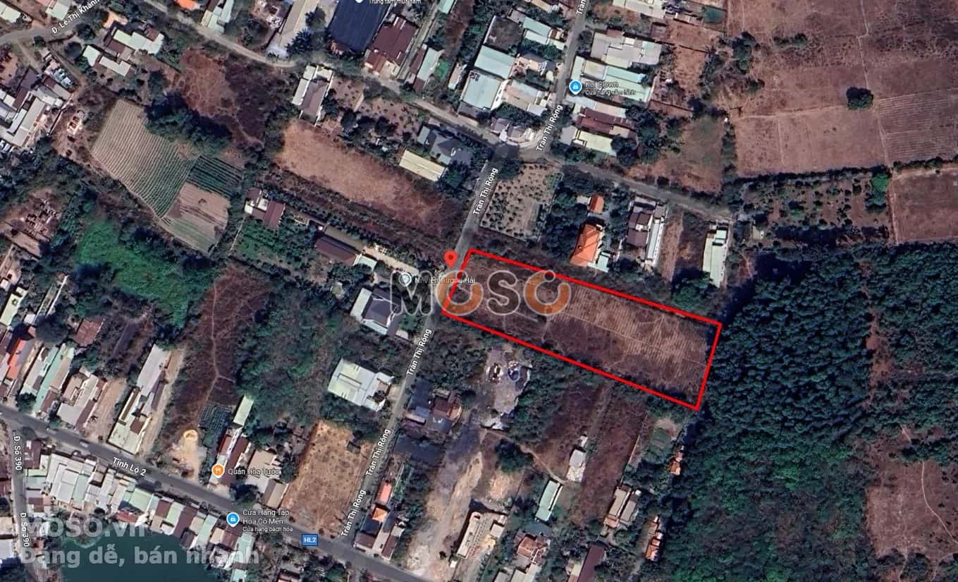 Bán đất Thửa 51 - Tờ 41, Đường Trần Thị Rộng Huyện Củ Chi, TP.HCM – giá 9.5 tỷ - ảnh 4