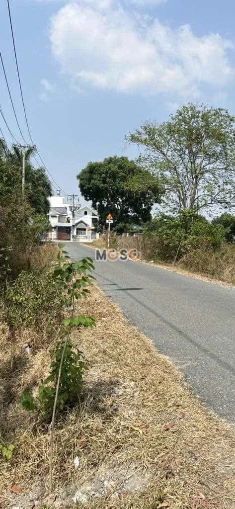 Bán đất Thửa 51 - Tờ 41, Đường Trần Thị Rộng Huyện Củ Chi, TP.HCM – giá 9.5 tỷ - ảnh 3