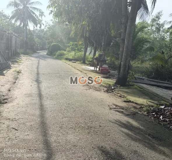Bán đất Nguyễn Thanh Sơn Quận Bình Thuỷ, TP. Cần Thơ – giá 3.2 tỷ - ảnh 3