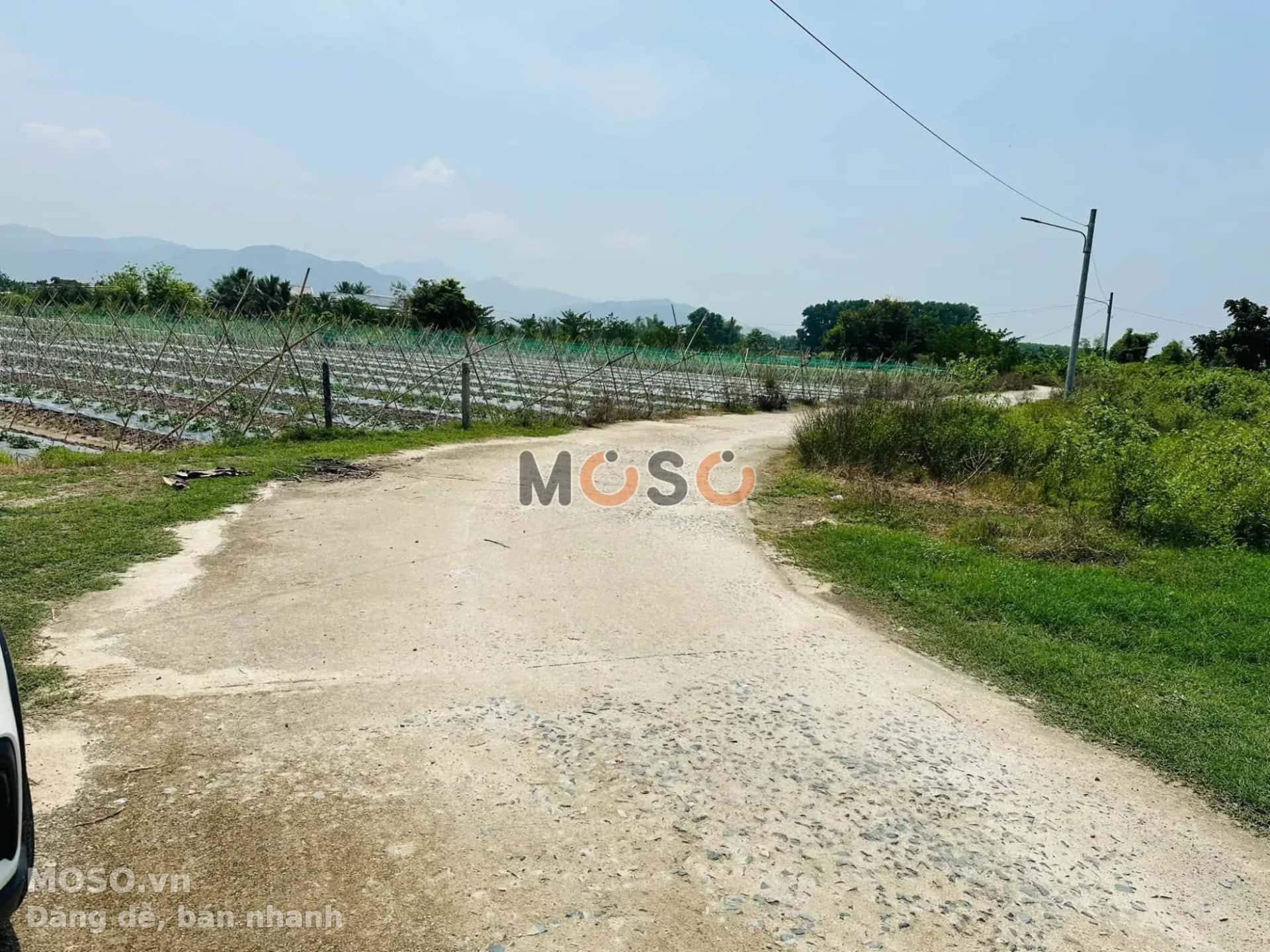 Bán đất Thôn Đảnh Thạnh Huyện Diên Khánh, Khánh Hòa – giá 520 triệu - ảnh 3