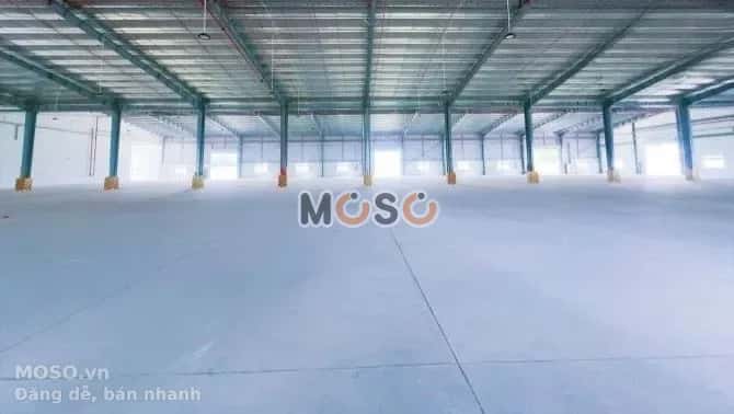 Cho thuê kho, nhà xưởng Đường số 41 Châu Đức, TP.HCM – giá 2.2 tỷ - ảnh 3