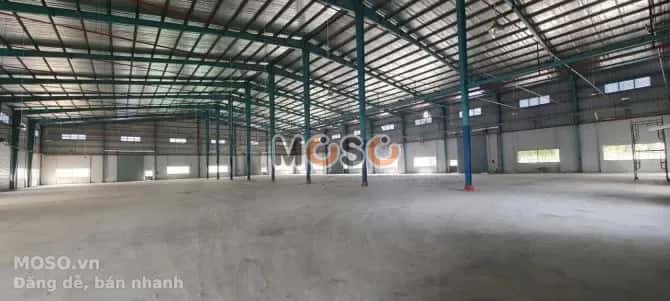 Cho thuê kho, nhà xưởng 8A Phu My, BRVT – giá 1.3 tỷ - ảnh 4